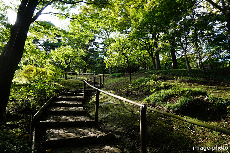 シティタワー国分寺ザ・ツインの公園イメージ画像